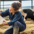 Recognizing and Reducing Stress in Farm Animals: Essential Care Practices