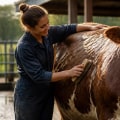 Essential Practices for Keeping Farm Animals Clean and Groomed