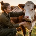 Recognizing the Signs of Healthy Farm Animals: Essential Care Tips