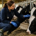 Effective Strategies for Preventing Diseases in Farm Animals