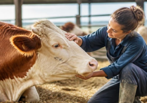 Recognizing and Reducing Stress in Farm Animals: Essential Care Practices